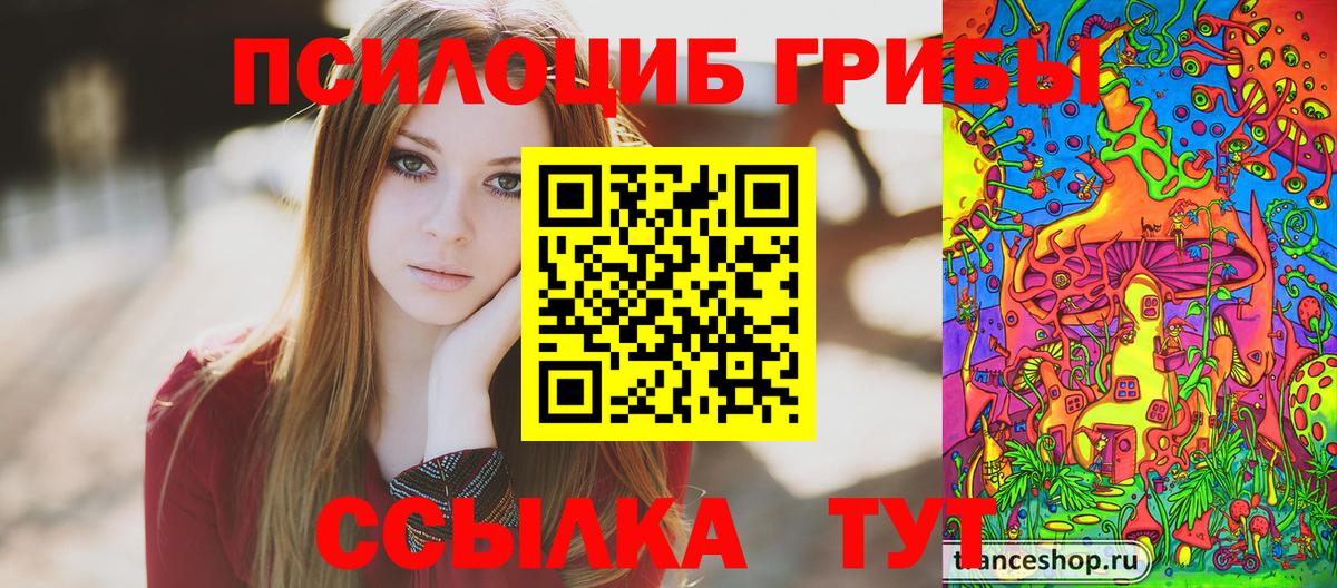 Галлюциногенные грибы MAGIC MUSHROOMS  Вход с VPN  Псилоцибиновые грибы прущие грибы  Заинск 